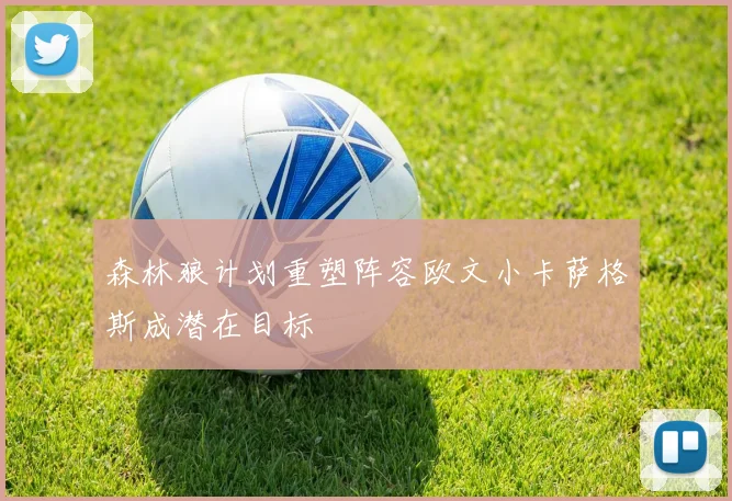 森林狼计划重塑阵容欧文小卡萨格斯成潜在目标